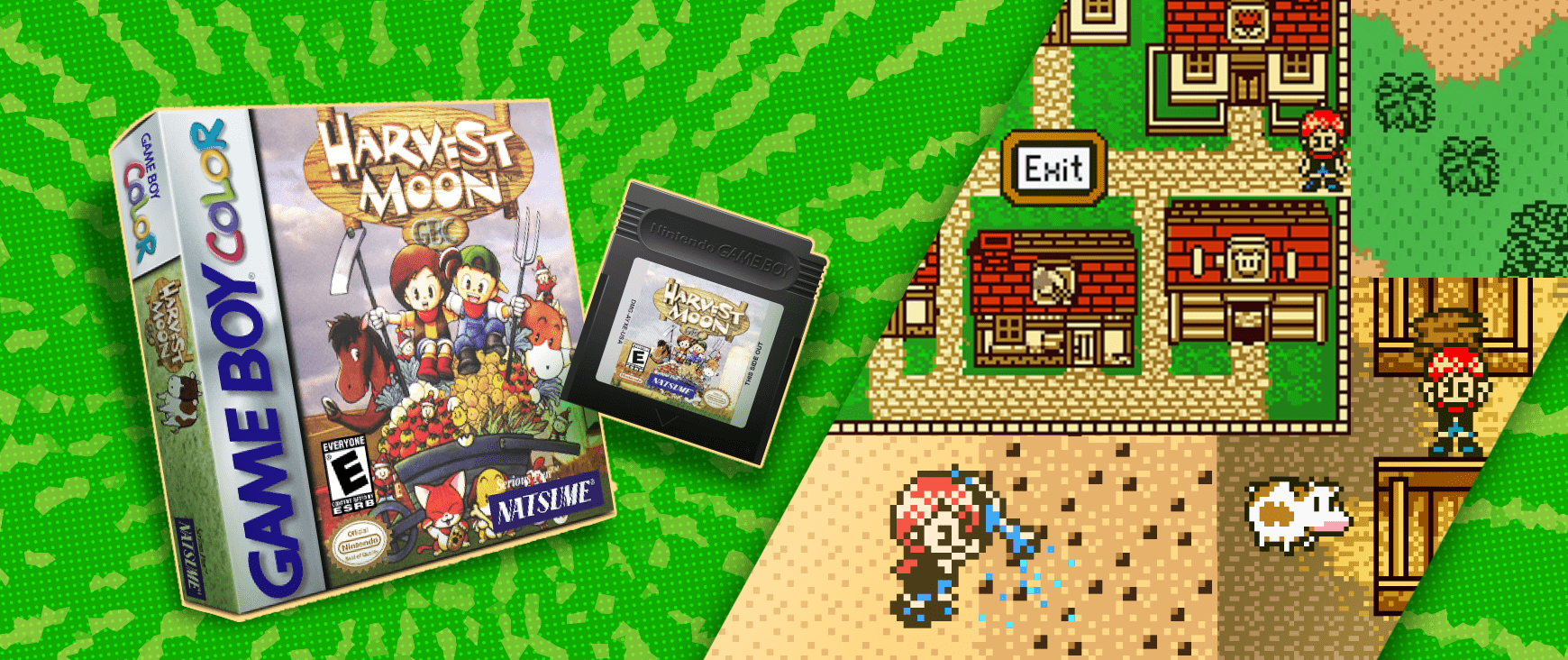 Harvest Moon GBC