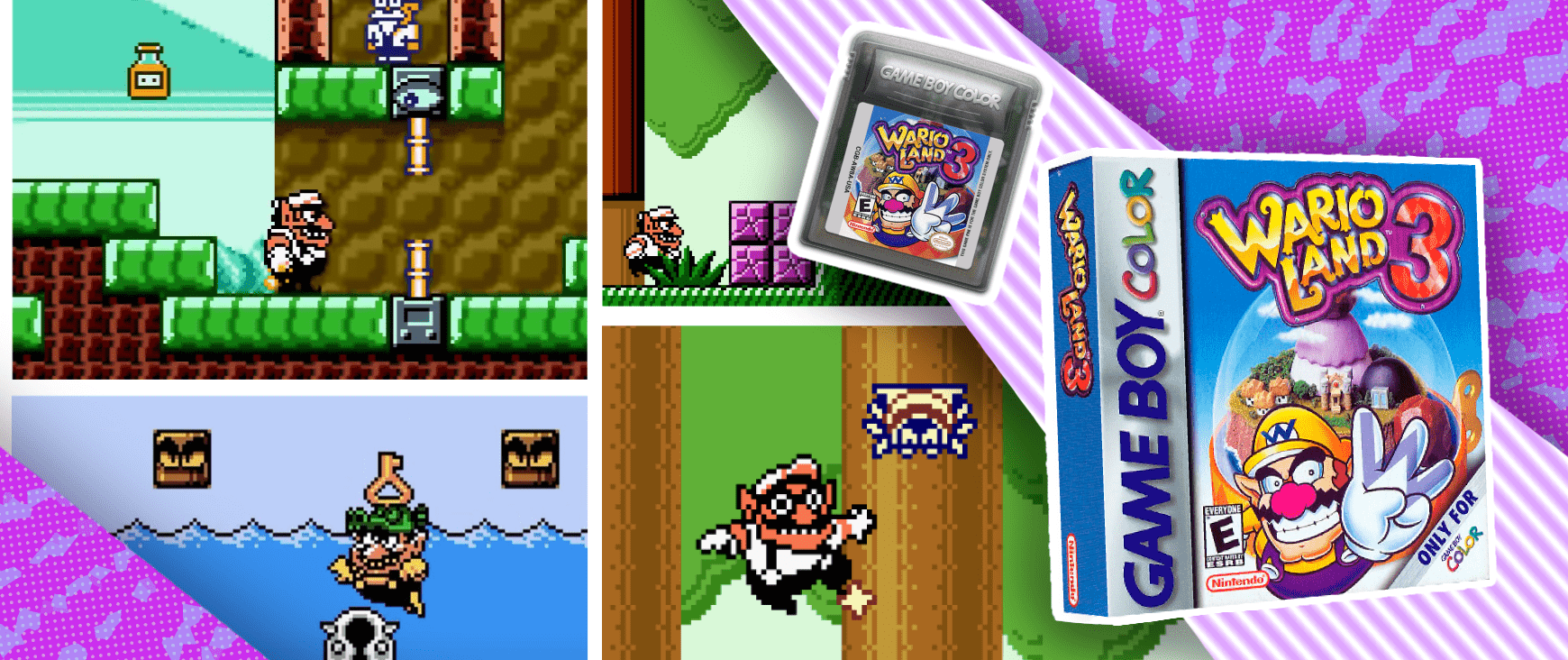 Wario Land 3