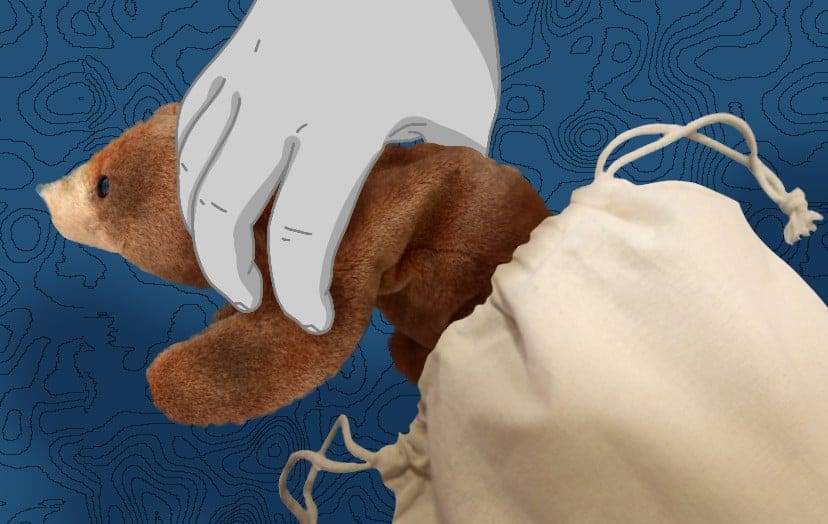 Protect Beanie Babies with a bag when machine washing