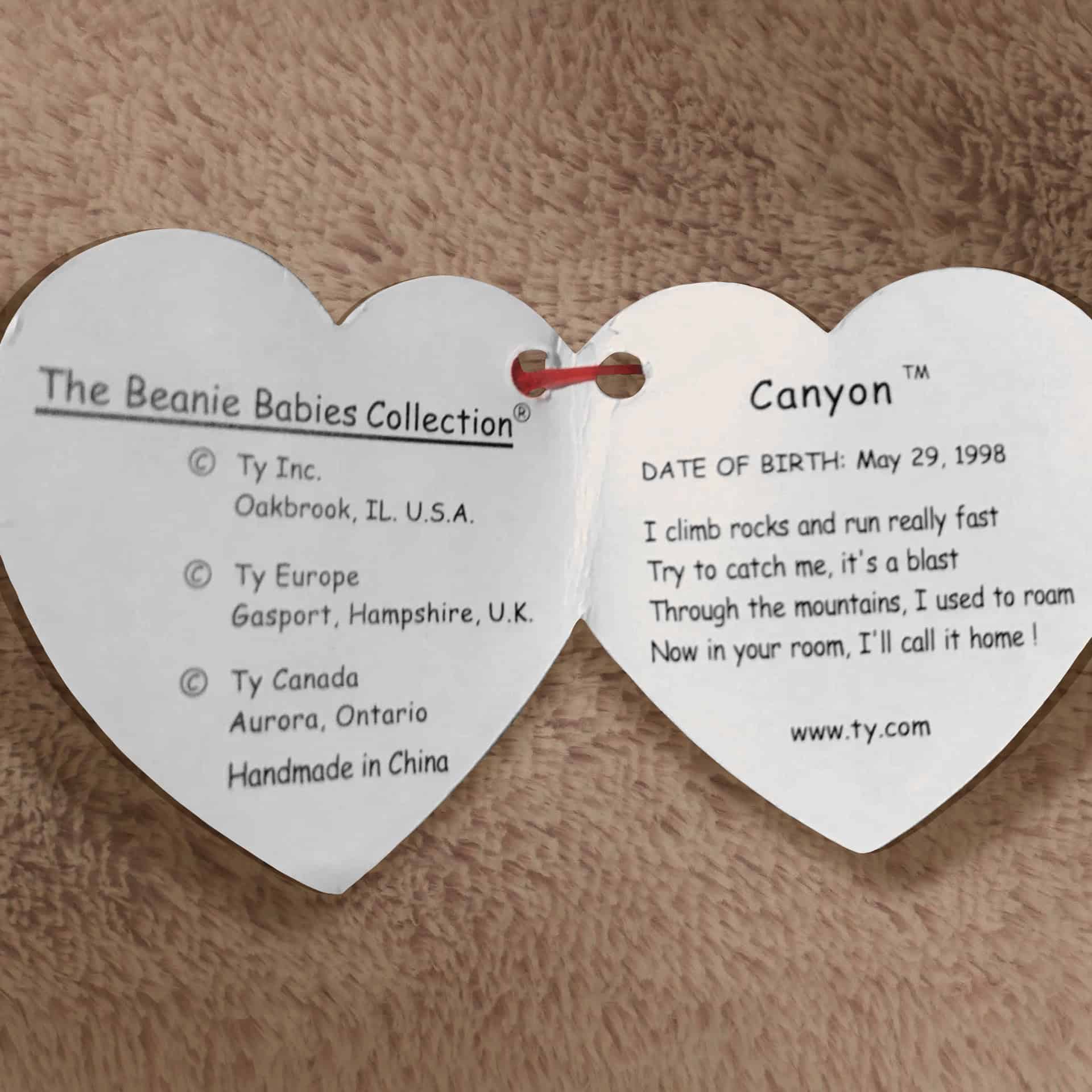 Canyon the Cougar info and poem inside hang tag