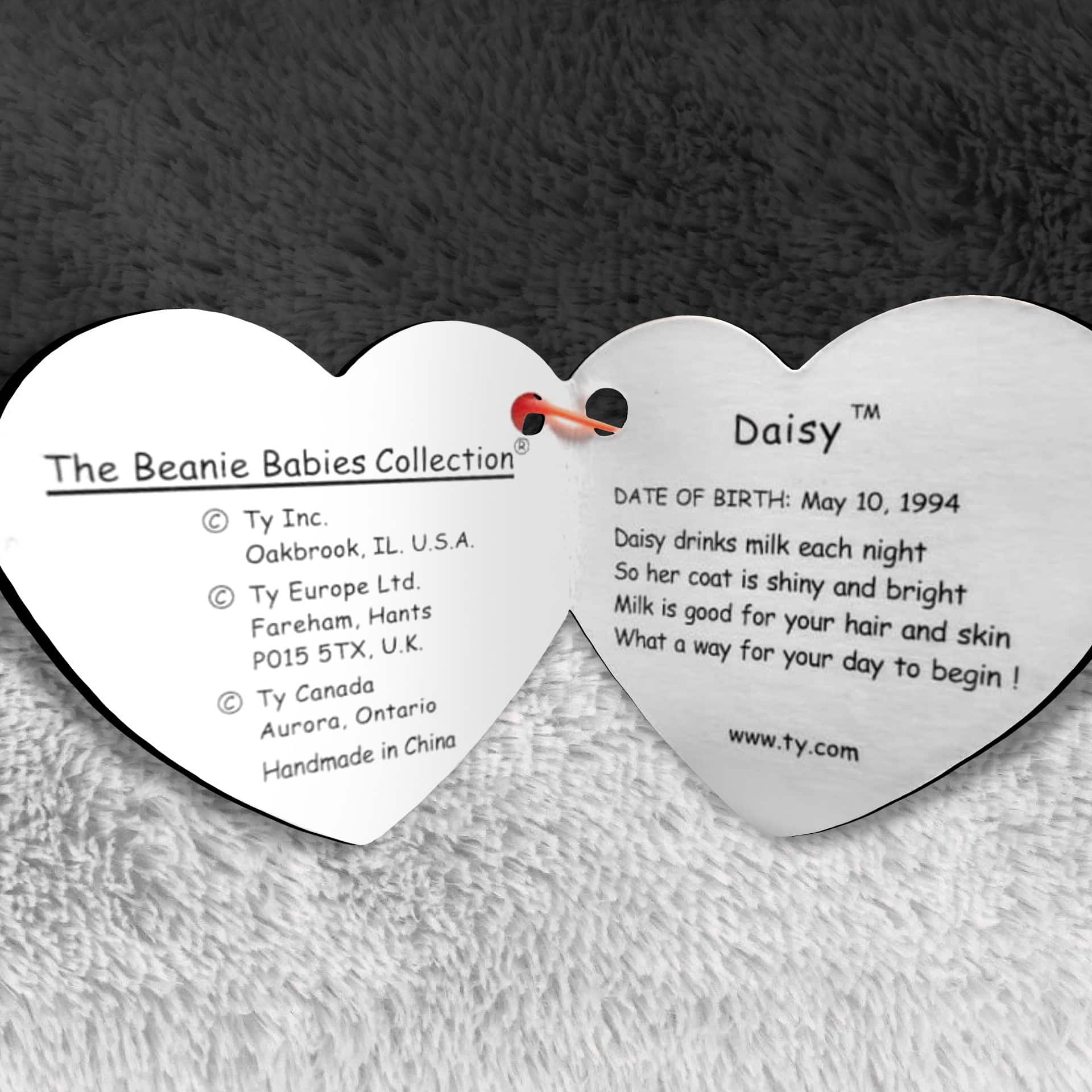 Daisy The Cow info and poem inside hang tag