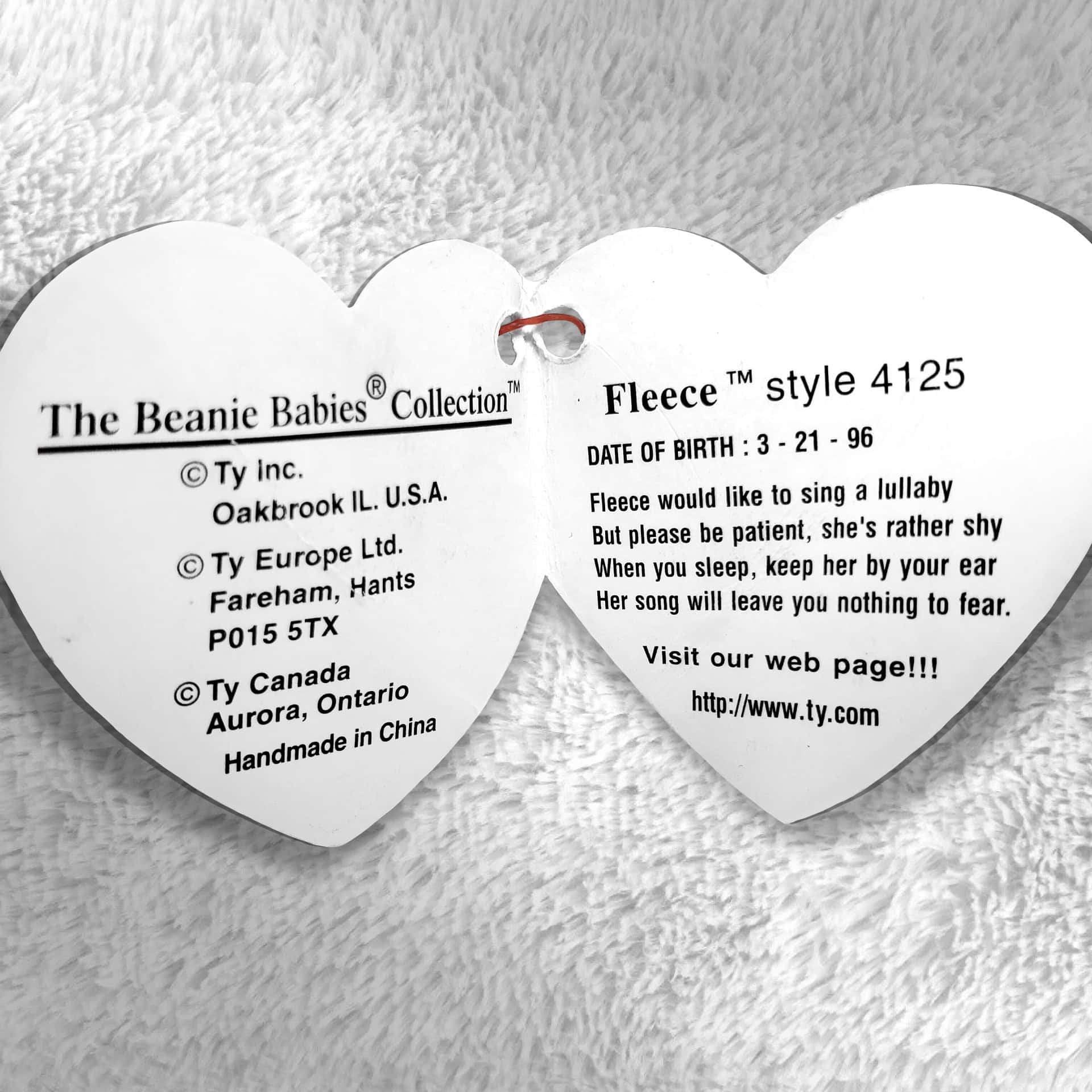 Fleece the Lamb info and poem inside hang tag